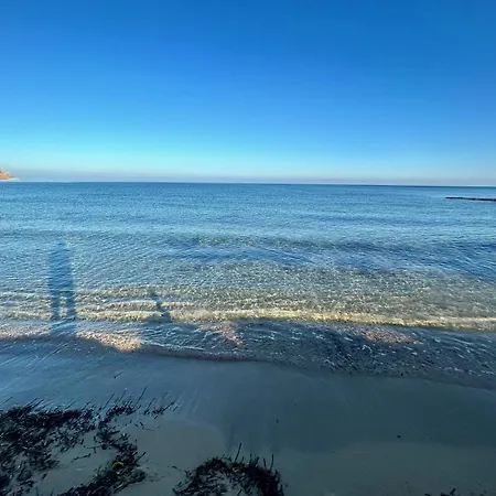 L'oasi Pineta Sul Mare Отель типа 