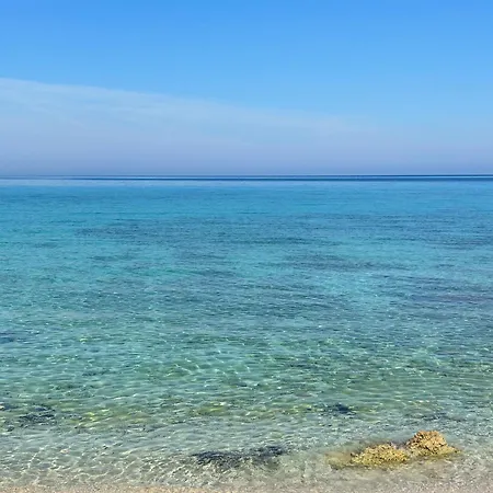L'oasi Pineta Sul Mare *