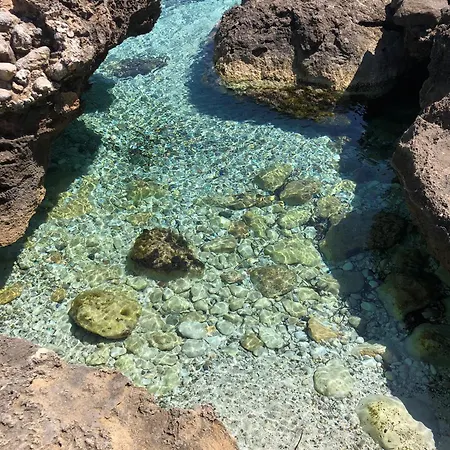 L'oasi Pineta Sul Mare Кустоначи