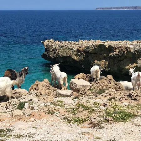 L'oasi Pineta Sul Mare *
