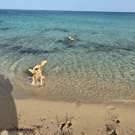 L'oasi Pineta Sul Mare לינה וארוחת בוקר