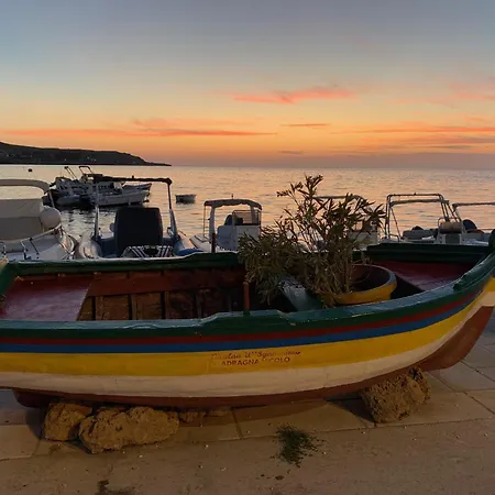 לינה וארוחת בוקר L'oasi Pineta Sul Mare *