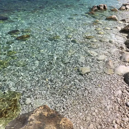 L'oasi Pineta Sul Mare *