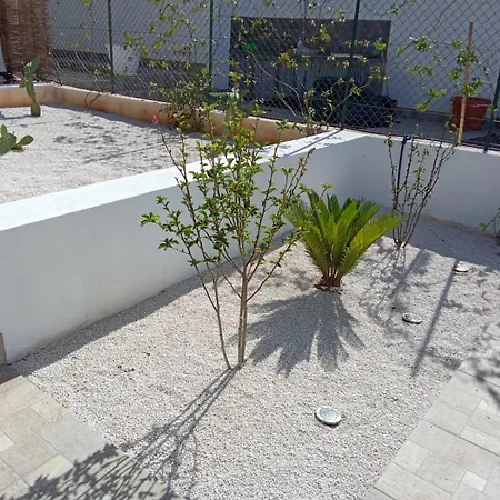 Bed & Breakfast L'oasi Pineta Sul Mare Custonaci