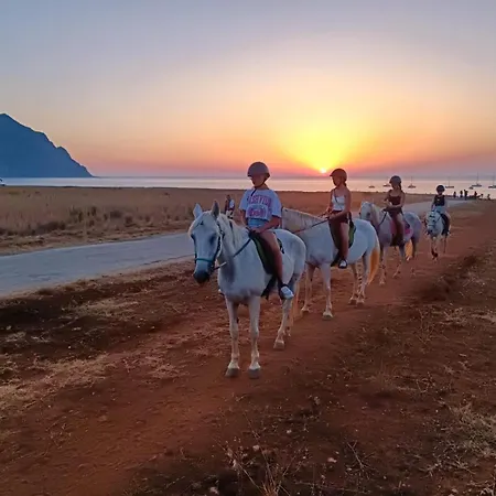 L'oasi Pineta Sul Mare *