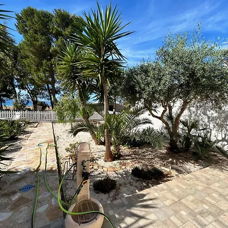 L'oasi Pineta Sul Mare B&B 쿠스토나치