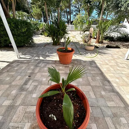 L'oasi Pineta Sul Mare לינה וארוחת בוקר *