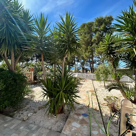 L'oasi Pineta Sul Mare קוסטונאצ'י