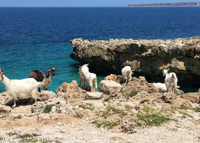 L'oasi Pineta Sul Mare 4*