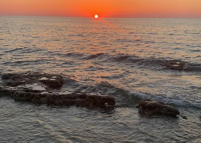 Bed & Breakfast L'oasi Pineta Sul Mare Custonaci
